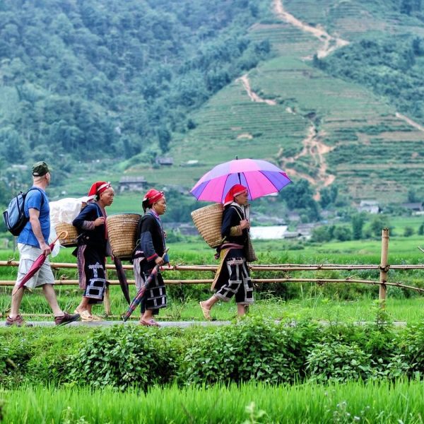 Sapa – Muong Hoa valley tour – 2days-1nights