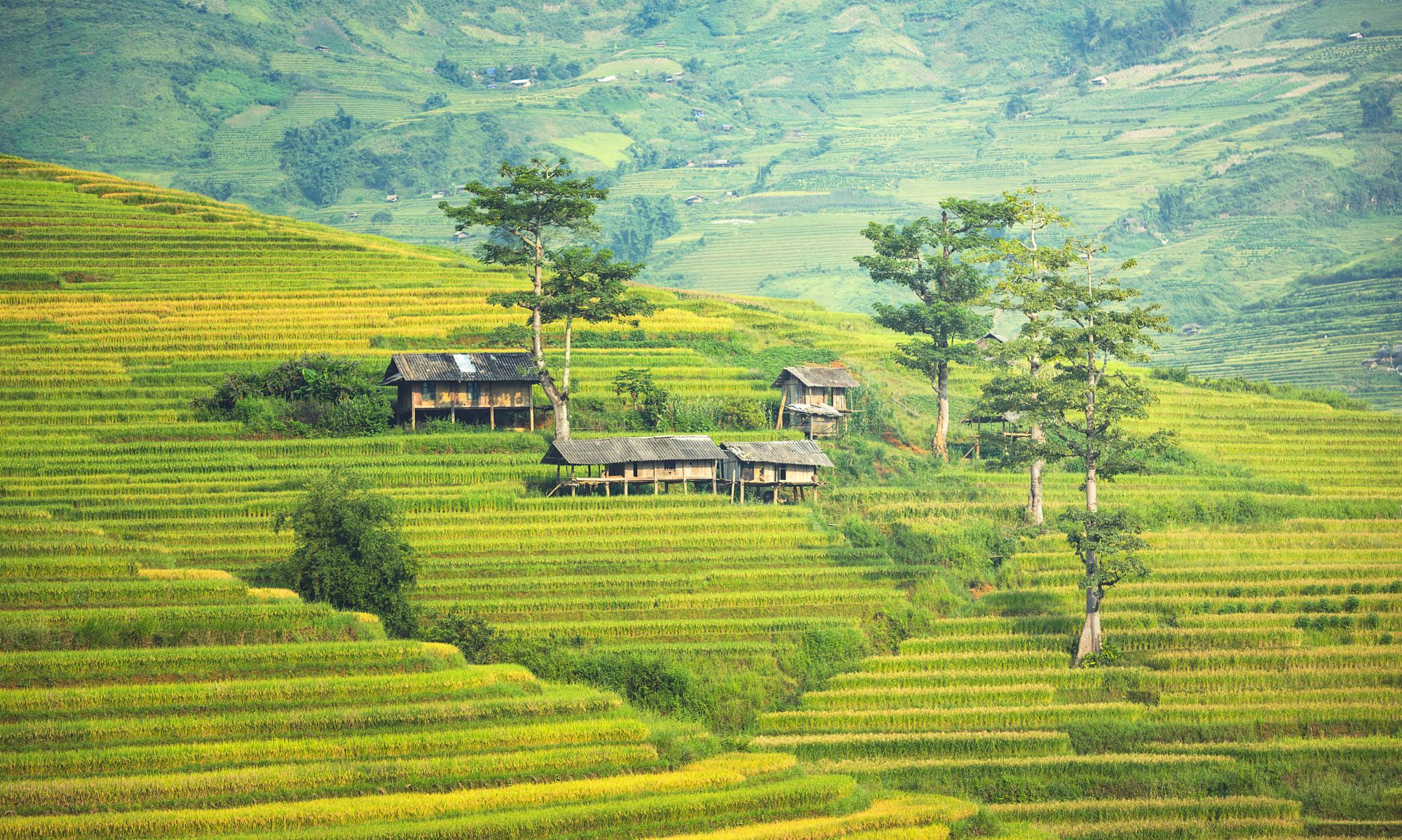 Sapa Tours